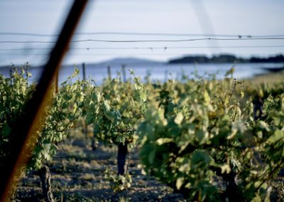 Revue de presse : mobilisation contre la LGV