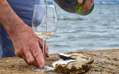 Les vins AOP Picpoul de Pinet et les huîtres de méditerranée débarquent aux Halles Occitanie