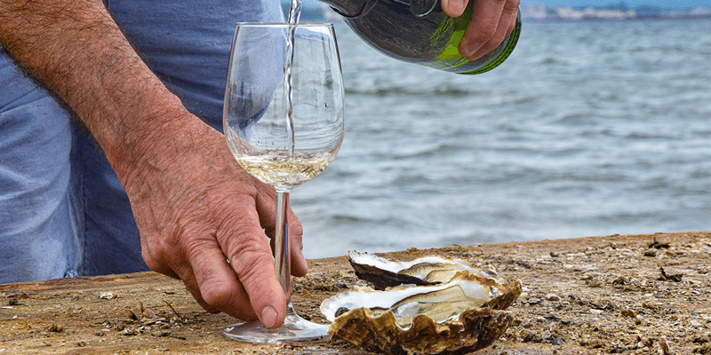Huîtres fraîches de Méditerranée élevées sur cordes et verre de vin blanc AOP Picpoul de Pinet en bord d'étang de Thau pour les Halles Occitanie