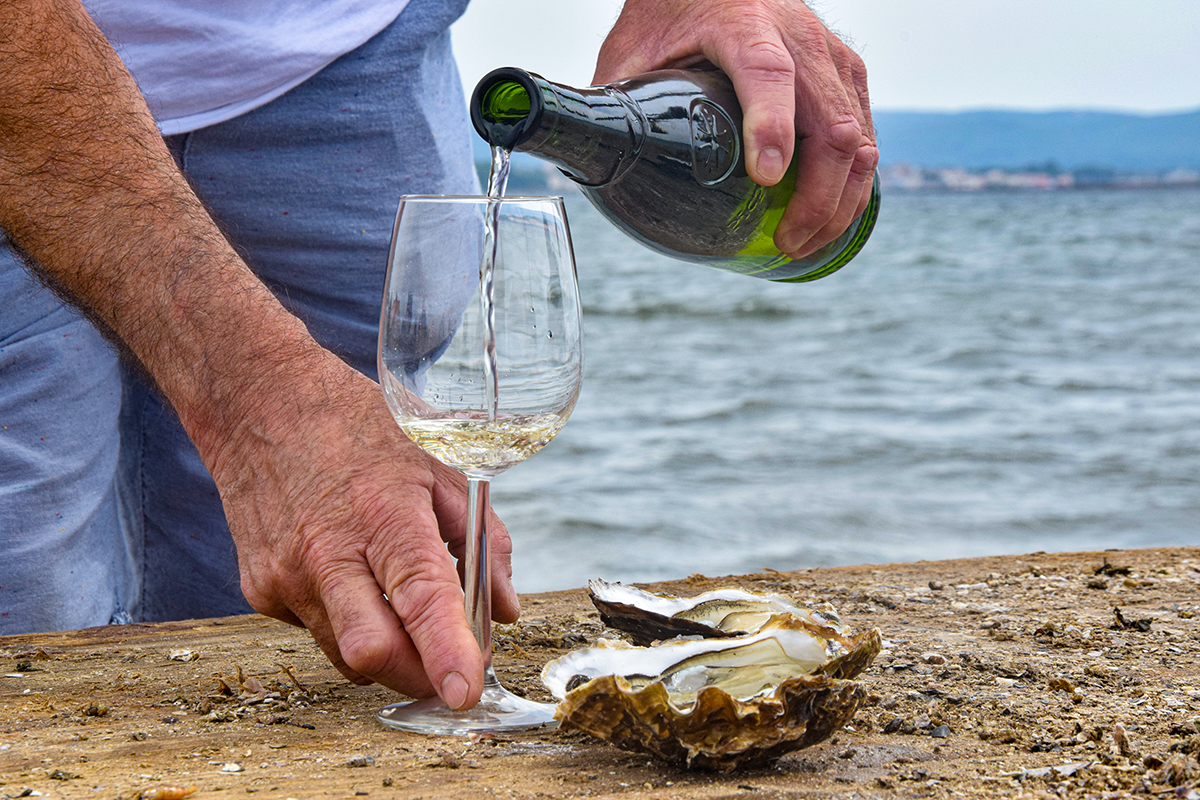 Vins AOP Picpoul de Pinet et huîtres de Méditerranée – Halles de Béziers
