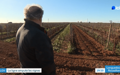 La LGV amputera bientôt le vignoble