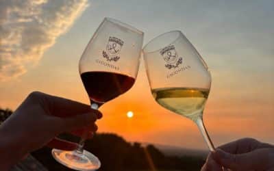 L’AOP Picpoul de Pinet, invitée d’honneur de Gigondas sur Table 2026