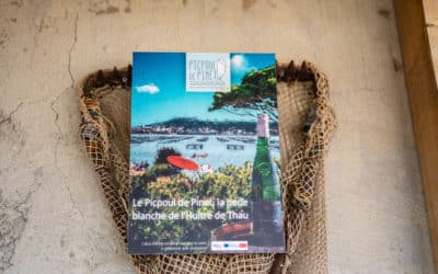 Jancis Robinson : Picpoul de Pinet, the world in an oyster