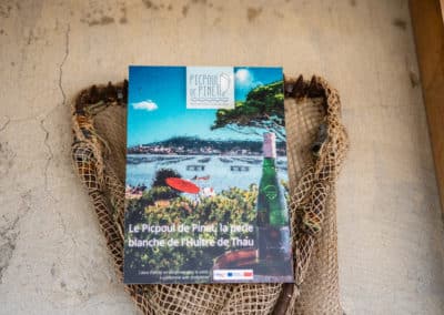 Jancis Robinson : Picpoul de Pinet, the world in an oyster